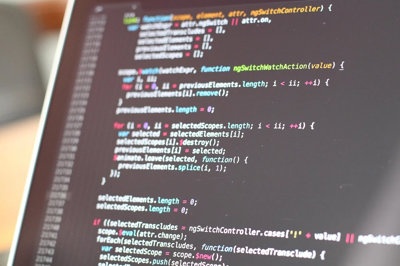 Laptop screen showing source code for a custom-built business application Laptop screen showing source code for a custom-built business application